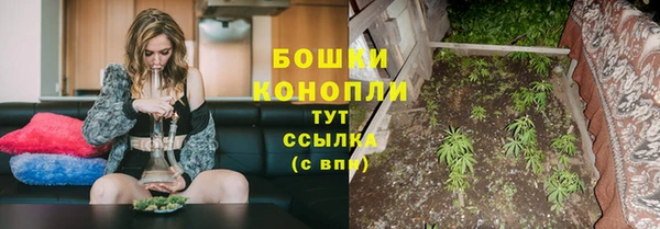 ALPHA-PVP Заводоуковск