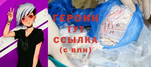 индика Михайловск